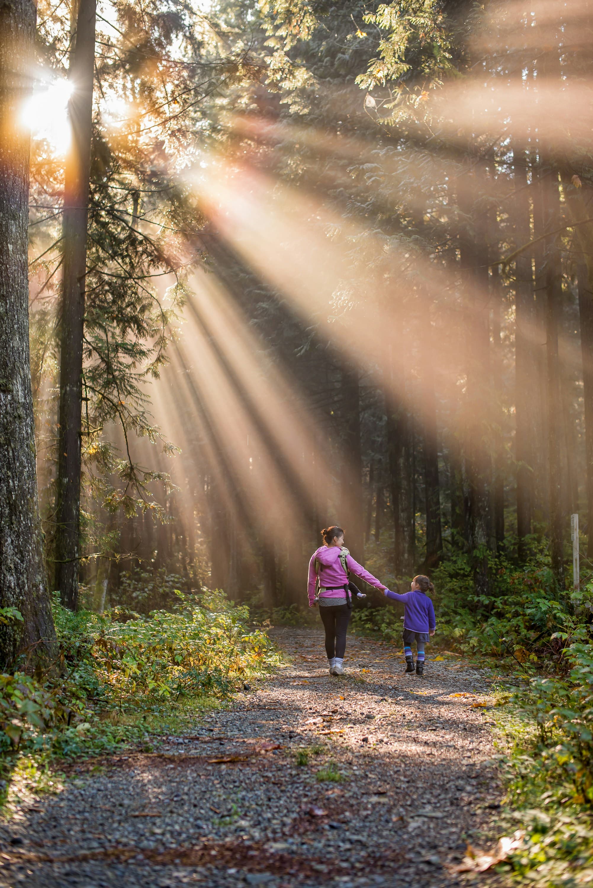 A parent and child walking through golden sunlit BC forest